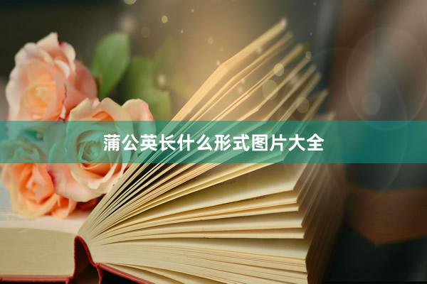蒲公英长什么形式图片大全